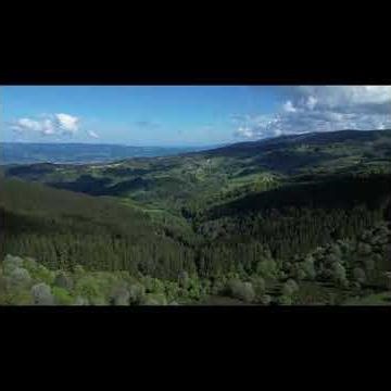 А душа не постареет... ❤️ | Душевная песня о жизни и любви