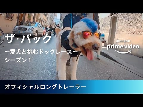 『ザ･パック ～愛犬と挑むドッグレース～ シーズン１』オフィシャルロングトレーラー
