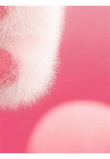 Son minisize chỉ để tặng thoaiii 🥳✨✅ #lamdep #swatches #toasacmoiphongcach #colorkey #colorkeyvn