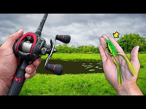 Topwater Frog ONLY Day of Bass Fishing!