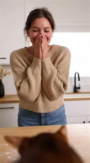 Wholesome kitten baking scene you must see