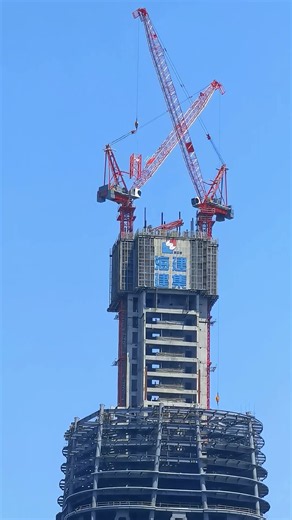Luffing crane is lifting the mast section.#towercranes #cranes #luffing crane #Construction