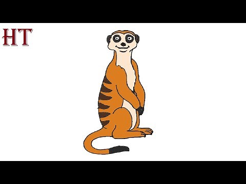 How to Draw a Meerkat Easy Step by Step