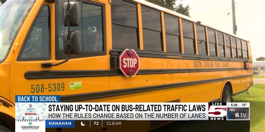 VIDEO: What are the rules of the road for a stopped school bus?