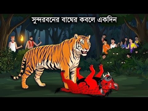 A day in the hands of a tiger in the Sundarbans 🐯| Sundarban Cartoon | Tiger Cartoon | Bangla Car...