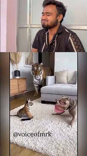 Tiger bhai😂#funnyvideosdaily #dailymemes #funnymoments #dankmeme #foryou #funnyaf #funnypost #memer