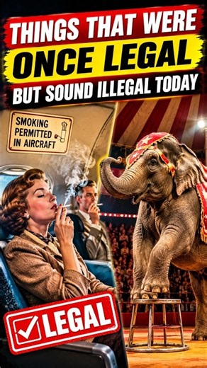 Things That Were Once Legal But Sound Illegal Today #didyouknow #flight