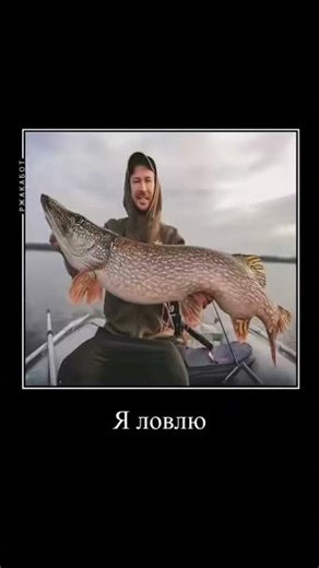 7 апреля 2026 г.