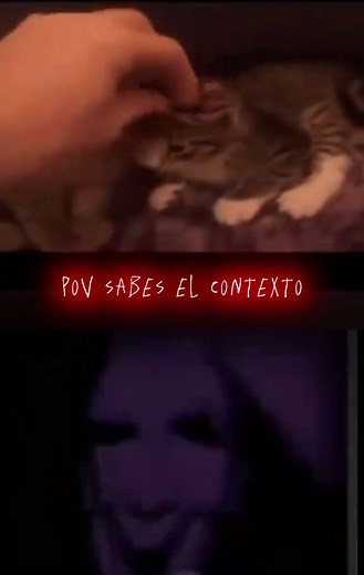 Cat Bath Time: A Boy and Two Kittens' Adventure