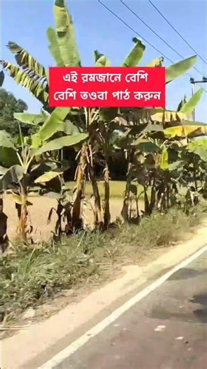 রমজান মাসে তওবার গুরুত্ব অনেক বেশি #islamic #viral #shorts #ramadan #tawbah #shortsfeed #foryou