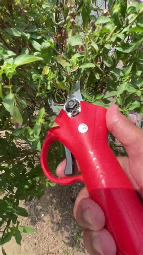 electric scissors easy use save time #tool P6881