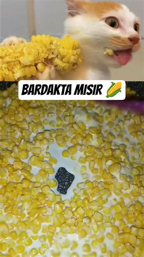 Sokak Lezzetlerinden Bardakta Mısır 🫠