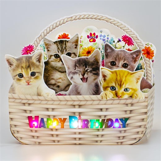 Musical Kitten Pop-up Birthday Card, Lights & Music, Meow Happy Birthday Song, 2 Melodies - Etsy