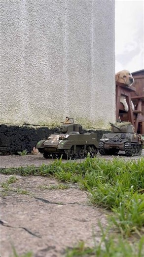 RC Stuart and Sherman tank 1/16 scale