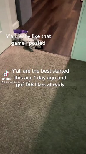 THE QUIET KID (@the_kid_that_has_a_prob0)’s videos with original sound - THE QUIET KID