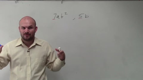 Learn to find the LCM or two monomials