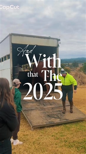 Goodbye 2025