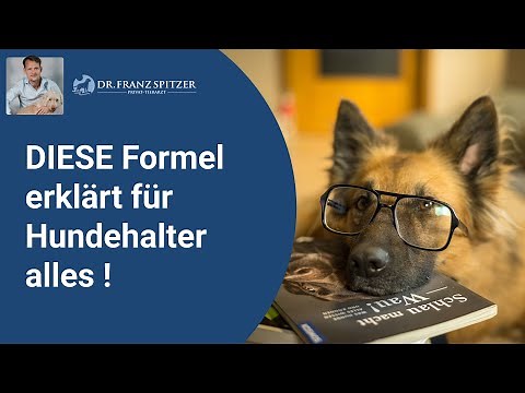 This formula explains everything for dog owners!