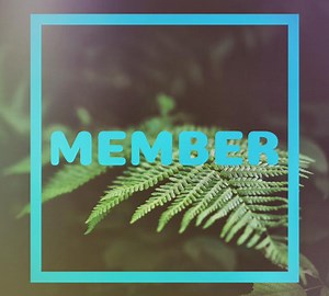 Member Concert & Tour History (Updated for 2025) | Concert Archives