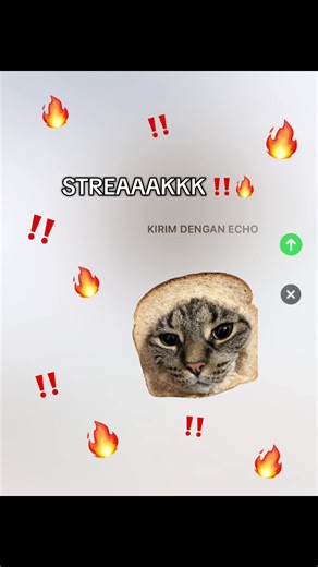 streak 🔥 #streak #streakreminder #streaksaver #api #cat #bread #cute #pinterest #fyp #foryou #xyzbcafypシ #moots?