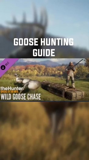 Guide to goose hunting in #huntercotw #thehuntercallofthewild