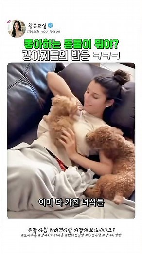 좋아하는 동물이 뭐냐고 물어보면 생기는 일🐶 @ika dauria