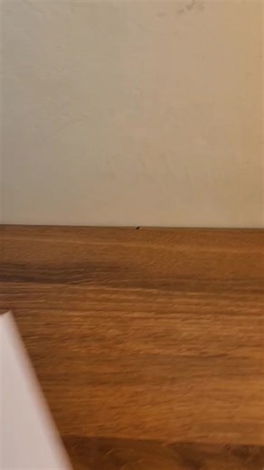 Eagle mask 🦅 #mask #papercraft #origami