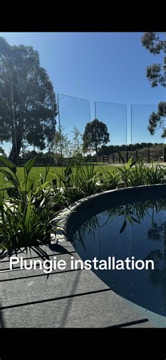 Plungie Installation: Transform Your Backyard Pool Oasis