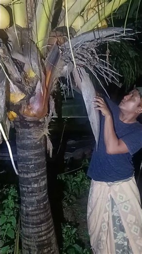 The Discovery of a Fox-Sucker Chick #nature