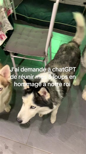 Réunion des loups : Hommage à notre roi
