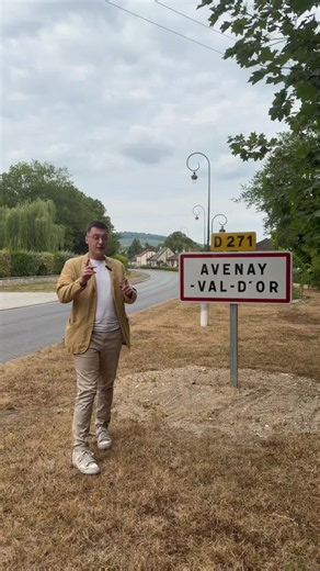 Avenay-Val-d'Or : visite, patrimoine et marché immobilier