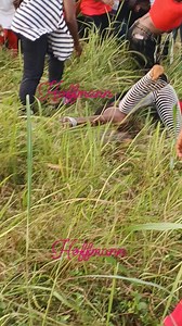 Two female sprinter seen Cerebrating a jump win of 3.9m in an ongoing High jump festival in Jigawa State. #fblifestyle Note: Meta this page does not support Graphic voilence, harrassment or bullying. | Udoka Hoffmann