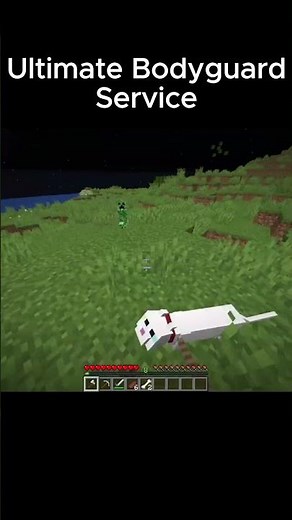 This is the ultimate minecraft bodyguard service
