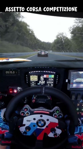 Just inches away at Nordschleife.