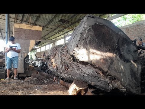 The best sawmills today process large quantities of large wood.