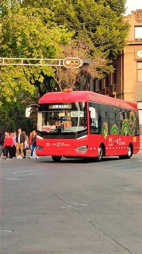 Par de Sunwin iEV8 en Metrobús CDMX