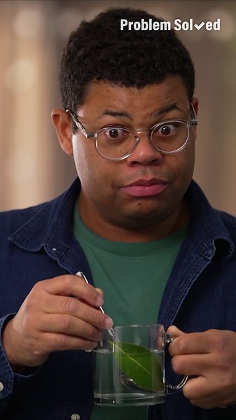 Three types of bay leaves and what they taste like