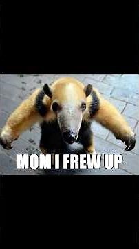 If you see this animal T-pose, RUN