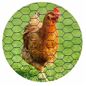 [Hot Item] Chicken Wire Netting/Hexagonal Netting/Animal House/Wire Mesh Gabion Mesh