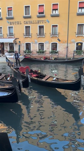 Sharon Hindle on Reels