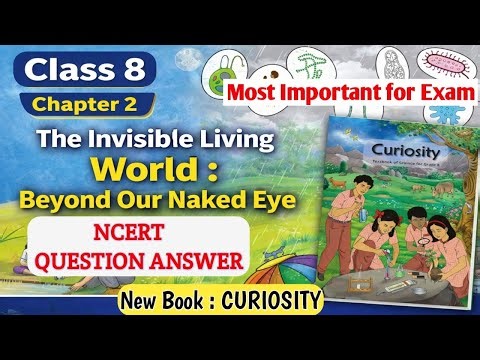 Class 8 Science Chapter 2 NCERT Question Answer Book Exercise The Invisible Living World Curiosity