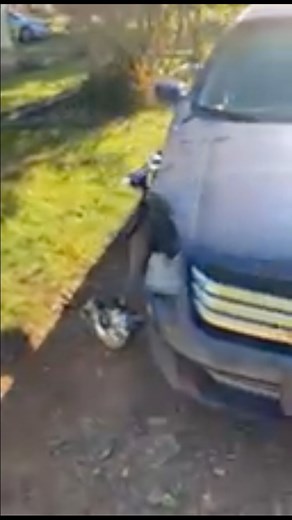 Front end collision repair #mechaniclife #cars #roadsideassitance #car #diy #mechanic #NorthCarolina #SouthCarolina | The Road Side Boyz