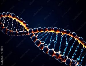 3D animation of DNA double helix pattern forming on abstract black plain background, formation of DNA double helix model gene, human genome and genetics Generative AI