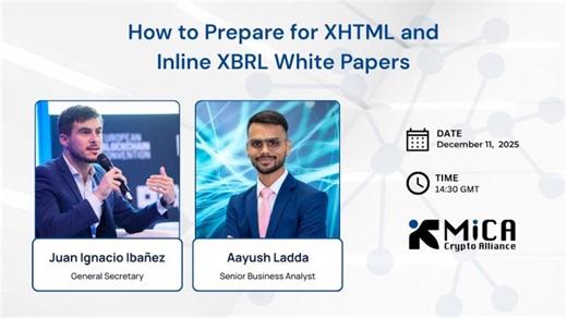 How to Prepare for XHTML and Inline XBRL White Papers | Juan Ignacio Ibañez