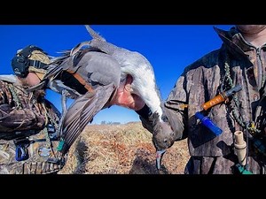 Duck Hunting in Pintail Paradise | With Outdoor Limits & High Prairie Sportsman
