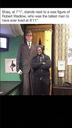 Shaq (7’1”) stands by Robert Wadlow’s 8’11” wax figure—world’s tallest man ever.