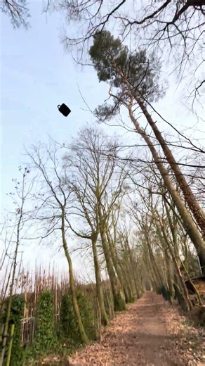 JBL Go 3 Drop test 💀