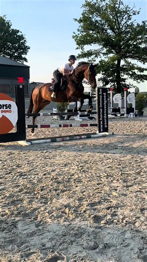 Horse Riding Tips for Beginners: Easy Guide & Destination Ideas