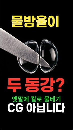 이 칼은 물도 벨 수 있습니다.말도 안 되는 것 같지만, 원리는 아주 간단합니다.#물베는칼 #초소수성 #소수성 #코코아가루 #과학쇼츠 #연잎효과 #물리학 #나노코팅 #shorts