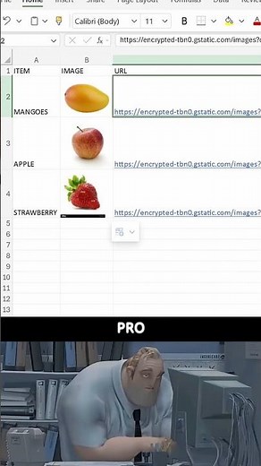 Excel Hack Display Images with ONE Formula!